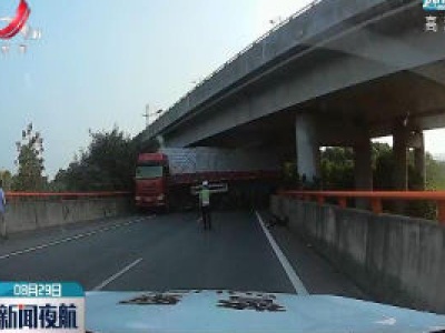 杭瑞高速：行车时被马峰蛰 导致交通事故