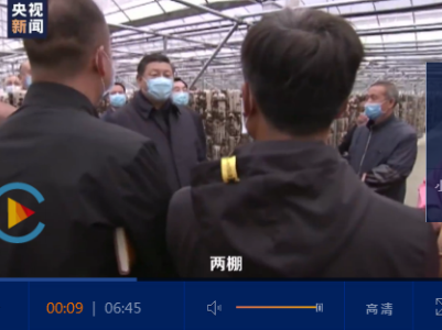 时政微视频丨青山不负人
