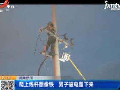 河南伊川：爬上线杆想偷铁 男子被电留下来