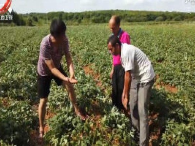 【新时代赣鄱先锋】群众身边好党员：“红薯书记”熊革进