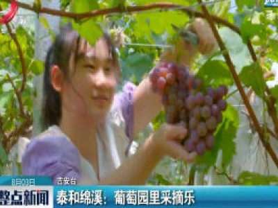 泰和绵溪：葡萄园里采摘乐