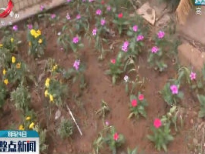 吉安：菜园变花园 宜居更文明