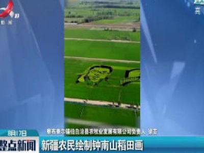 新疆农民绘制钟南山稻田画