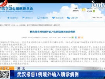 湖北：武汉报告1例境外输入确诊病例