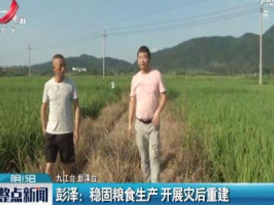 彭泽：稳固粮食生产 开展灾后重建