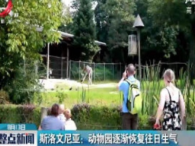 斯洛文尼亚：动物园逐渐恢复往日生气