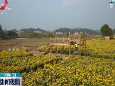 【走向我们的小康生活】幕冲村：奋斗创造美好家园