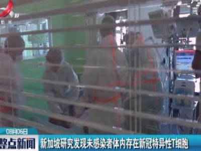 新加坡研究发现未感染者体内存在新冠特异性T细胞