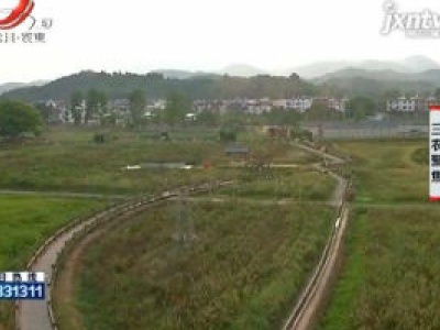 三农聚焦20200819 良田美景