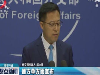 中方决定香港特区将暂停履行港德移交逃犯协定