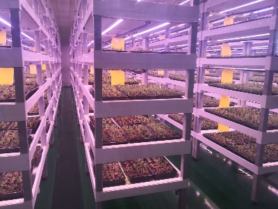 走向我们的小康生活——上饶市广信区因地制宜发展产业 依托绿水青山孵化金山银山