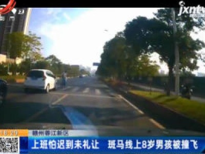 赣州蓉江新区：上班怕迟到未礼让 斑马线上8岁男孩被撞飞