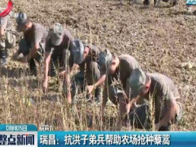 瑞昌：抗洪子弟兵帮助农场抢种藜蒿