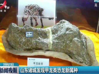山东诸城发现甲龙类恐龙新属种