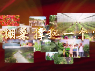 江西宁都：一棚菜撑起一个家