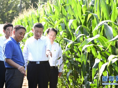 谋篇布局“十四五”，习近平总书记领航前行