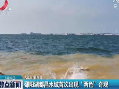 鄱阳湖都昌水域首次出现“两色”奇观