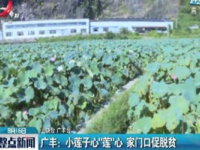 广丰：小莲子心“莲”心 家门口促脱贫