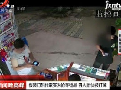 广西南宁：假装扫码付款实为抢夺物品 四人团伙被打掉
