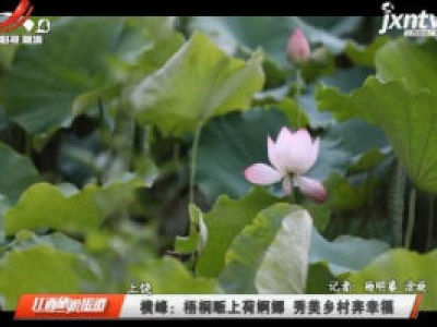 上饶横峰：梧桐畈上荷婀娜 秀美乡村奔幸福