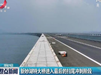 九江：新妙湖特大桥进入最后的扫尾冲刺阶段