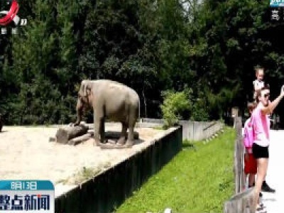 斯洛文尼亚：动物园逐渐恢复往日生气 