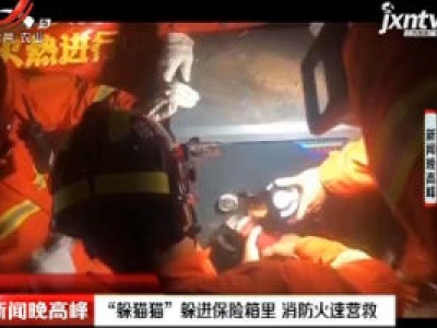 东莞：“躲猫猫”躲进保险箱里 消防火速营救