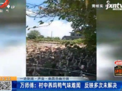 【一追到底·声音】南昌县幽兰镇·万师傅：村中养鸡鸭气味难闻 反映多次未解决