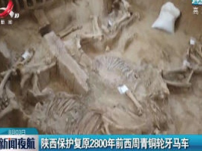 陕西保护复原2800年前西周青铜轮牙马车