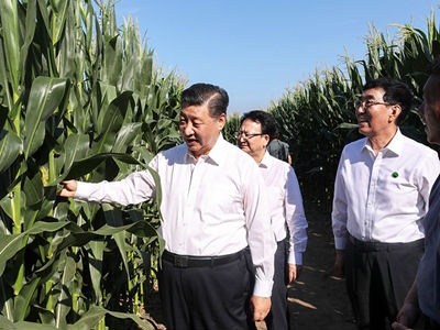 掀起节约“新食尚” 习近平总书记知之深行之远