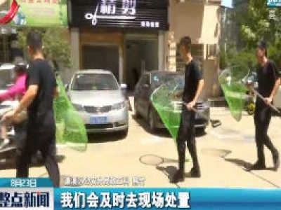 九江濂溪区：倡导文明养犬 建设宜居家园