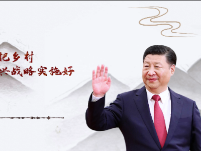 【每日一习话】扎扎实实把乡村振兴战略实施好