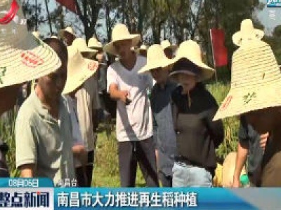 南昌市大力推进再生稻种植