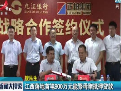 新闻大搜索20200809