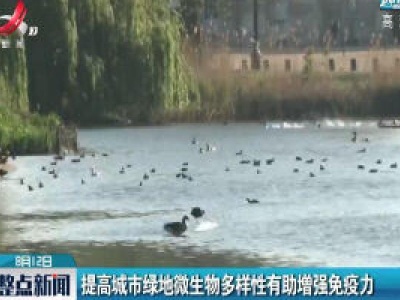 提高城市绿地微生物多样性有助增强免疫力