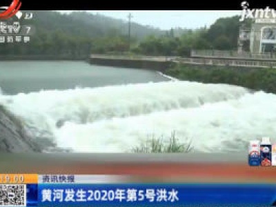 黄河发生2020年第5号洪水