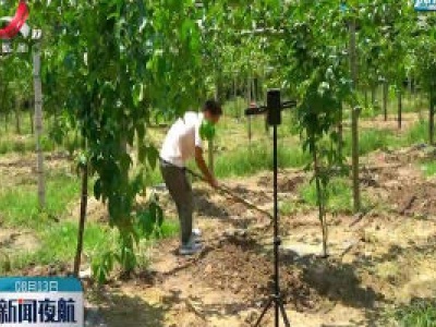【走向我们的小康生活】半径村：网红新农民 直播间里做农活