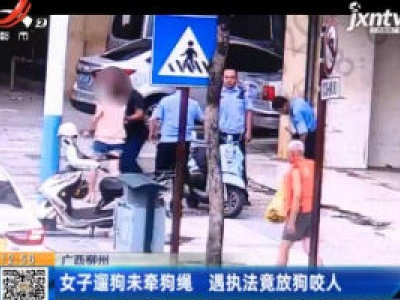 广西柳州：女子遛狗未牵狗绳 遇执法竟放狗咬人