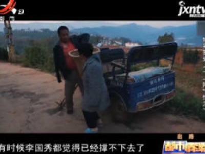 都市情缘20200803 特别策划——《一“网”情深》之出路