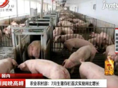 农业农村部：7月生猪存栏首次实现同比增长