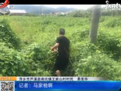 都市60分20200828