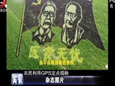 河南农民种出袁隆平钟南山稻田画 致敬“医食无忧”组合