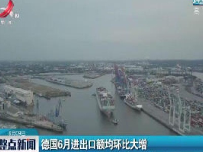 德国6月进出口额均环比大增