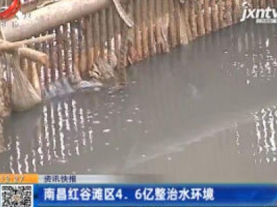 南昌红谷滩区4.6亿整治水环境