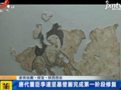 【家有收藏·探宝】陕西西安：唐代重臣李道坚墓壁画完成第一阶段修复