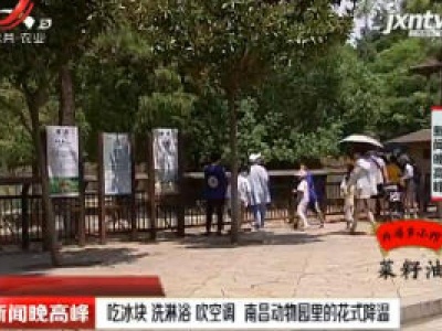 吃冰块 洗淋浴 吹空调 南昌动物园里的花式降温