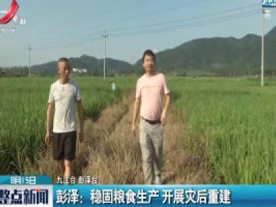 彭泽：稳固粮食生产 开展灾后重建