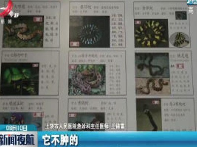 【暑期安全放心间】又到蛇咬伤高发期 正确防护很重要