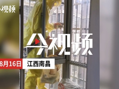 江西南昌：马蜂窝扰民 消防处置时被叮