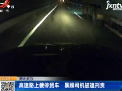 湖北武汉：高速路上截停货车 暴躁司机被追刑责